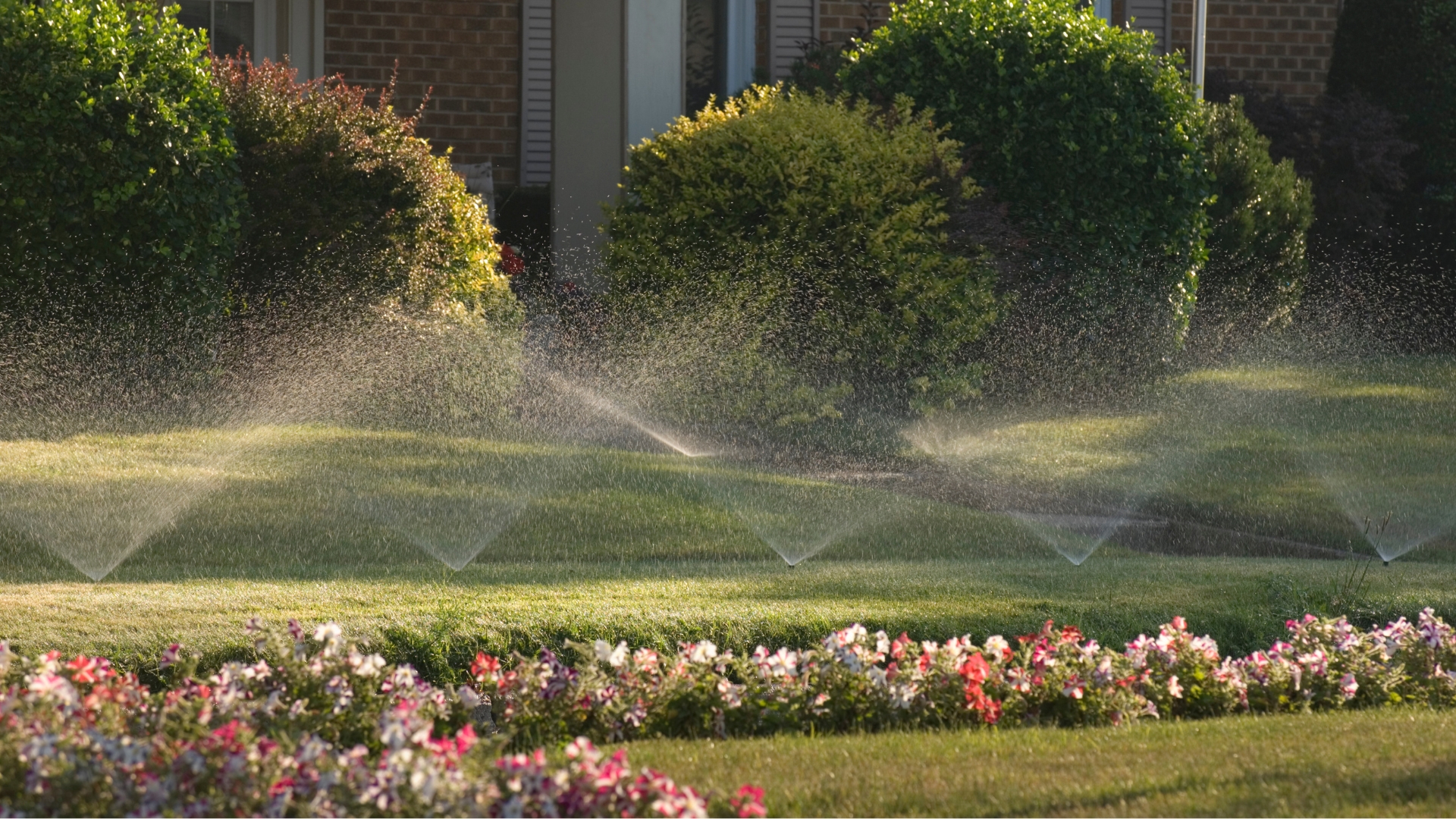 Sprinkler Installation